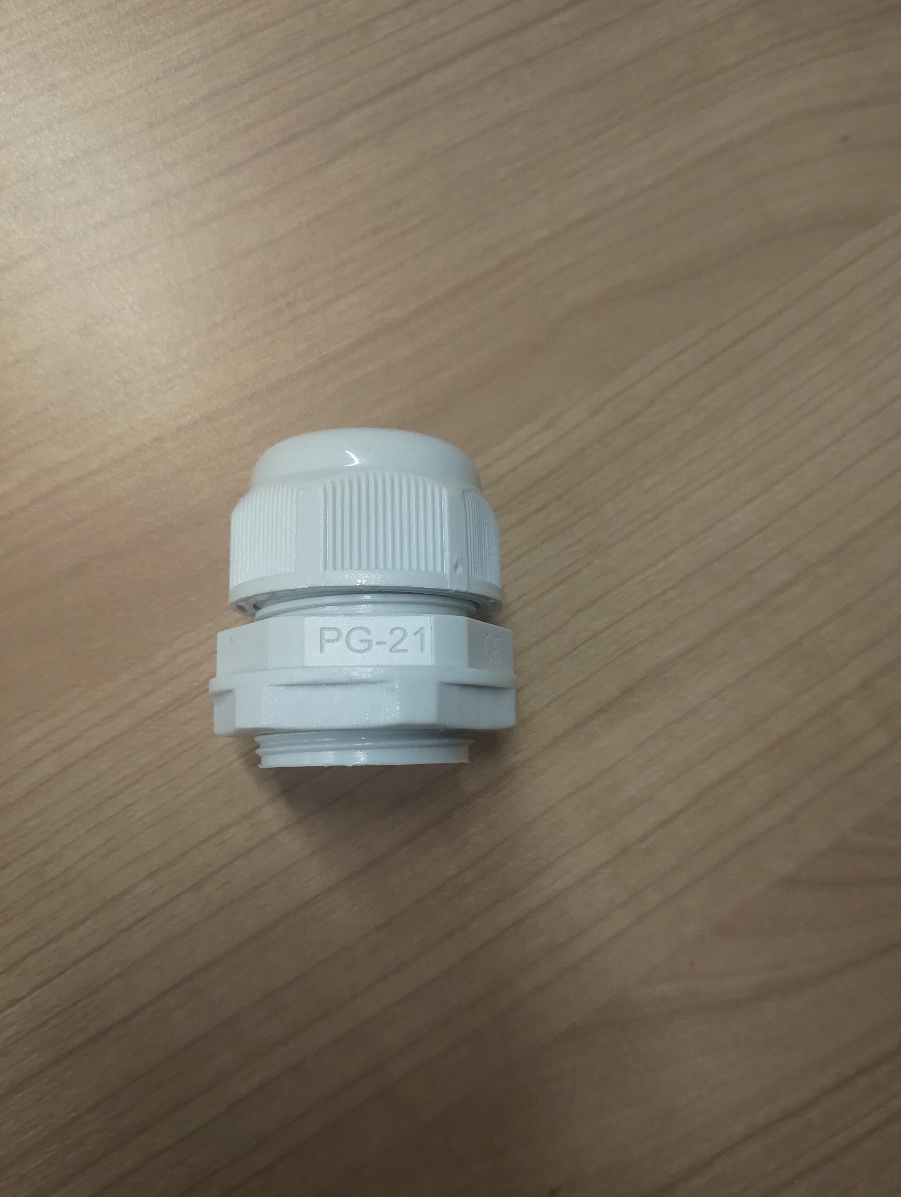 [RAY.RNPG-21] GLAND (Polyamide) PG 21 (124414)