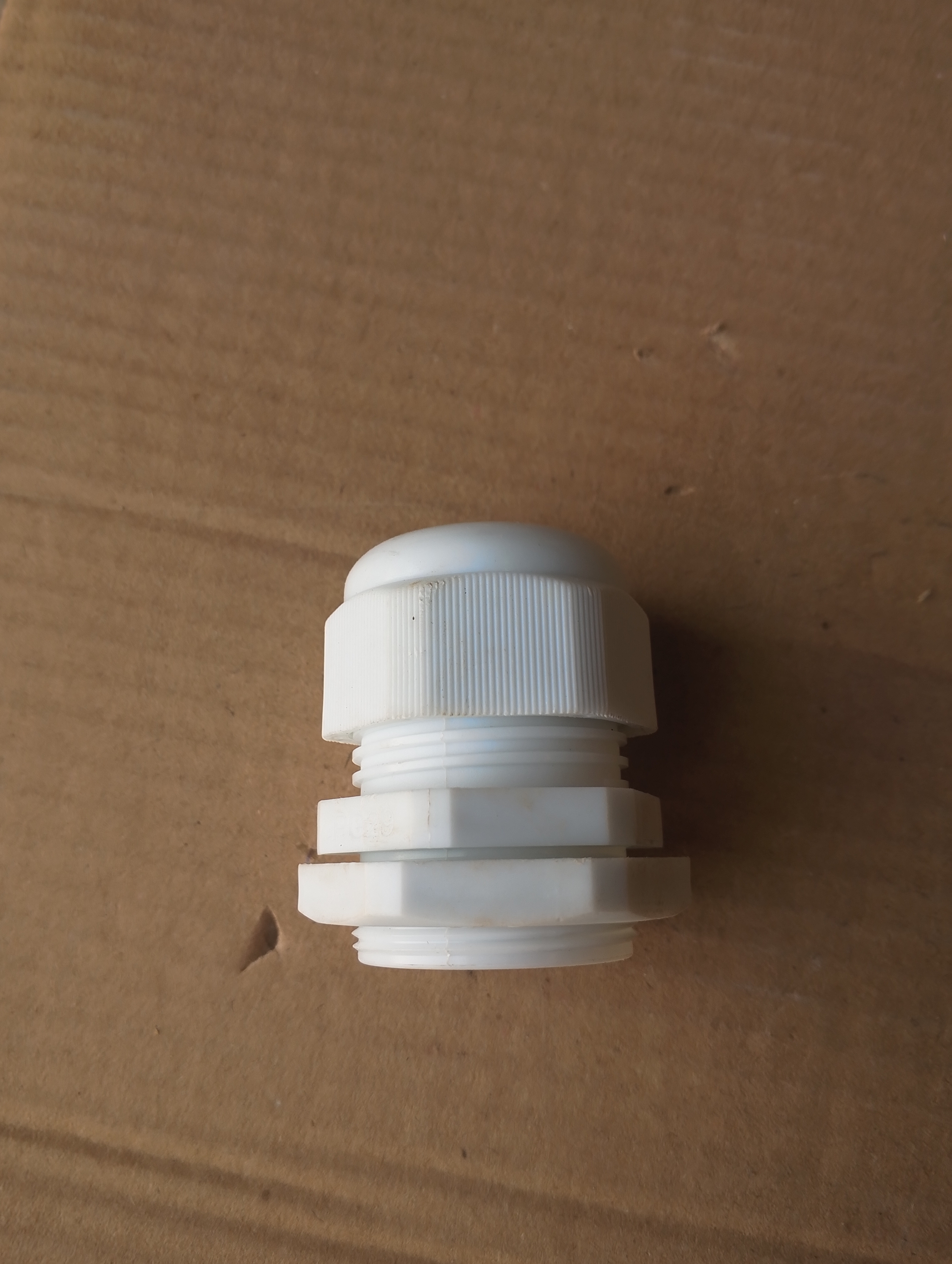 [RAY.RNPG-21-29] GLAND (Polyamide) PG 29 (124502)